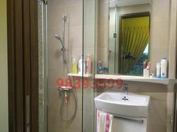 The Miltonia Residences (D27), Condominium #154929612